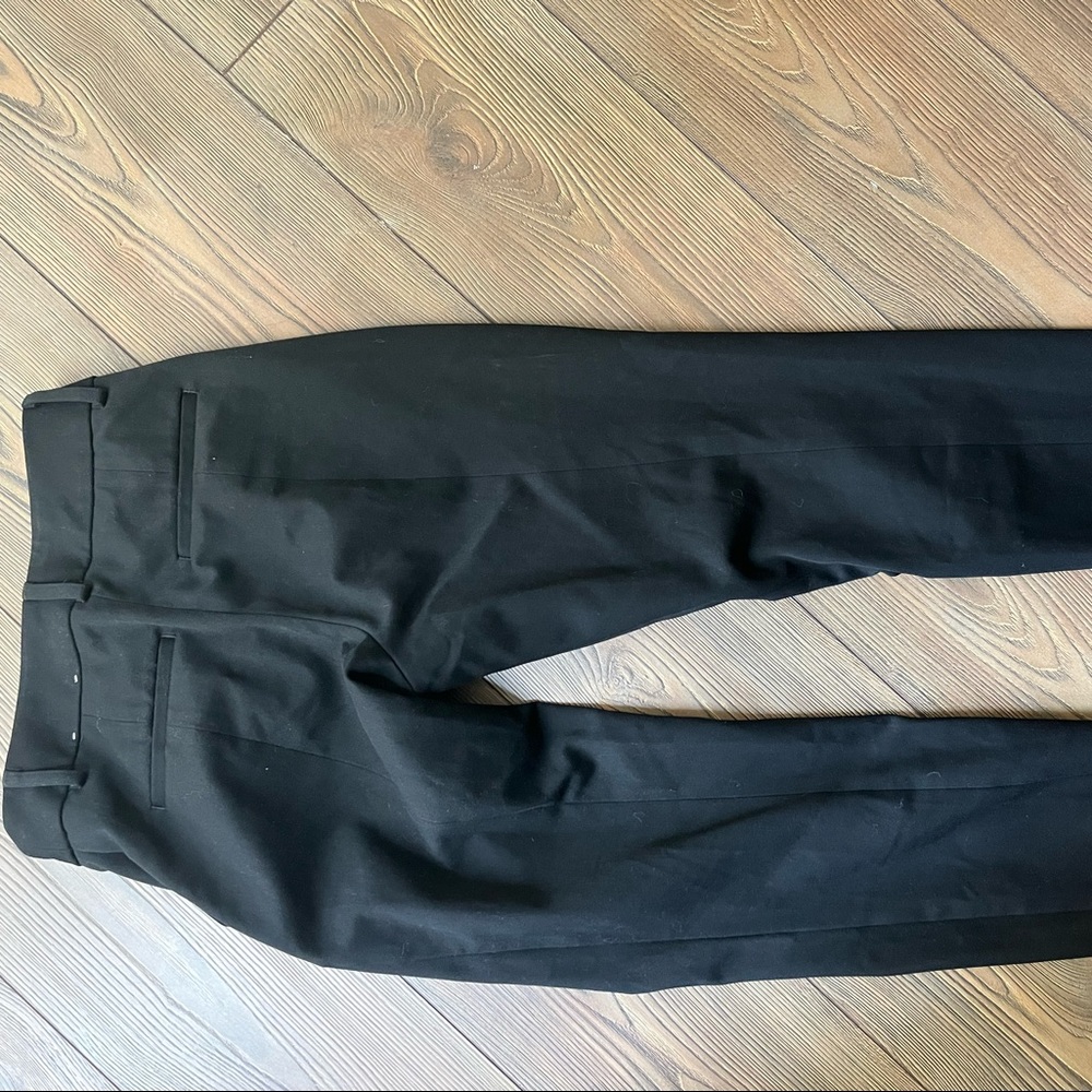 Express Work Dress Pants